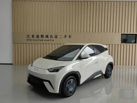2025 BYD Seagull 305km