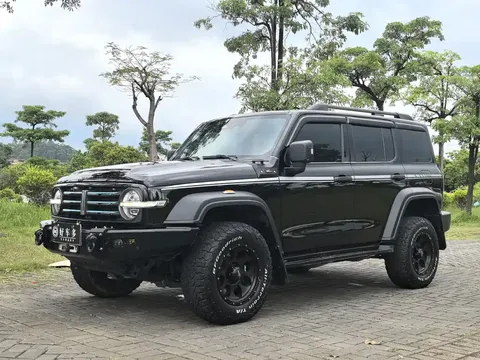 2021 Tank 300 2.0T
