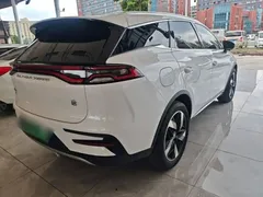 2023 BYD Tang DM-i PHEV Champion 112km Premium, белый — фото 5
