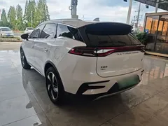 2023 BYD Tang DM-i PHEV Champion 112km Premium, белый — фото 23