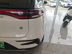 2023 BYD Tang DM-i PHEV Champion 112km Premium, белый — фото 24