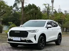 2021 Haval H6 2.0T AT 2WD Max, белый — фото 1