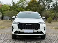 2021 Haval H6 2.0T AT 2WD Max, белый — фото 2