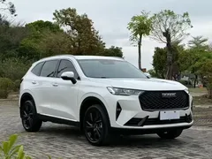 2021 Haval H6 2.0T AT 2WD Max, белый — фото 3