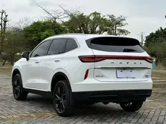 2021 Haval H6 2.0T AT 2WD Max, белый — фото 12