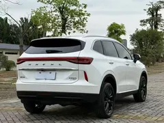 2021 Haval H6 2.0T AT 2WD Max, белый — фото 13