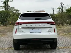2021 Haval H6 2.0T AT 2WD Max, белый — фото 14