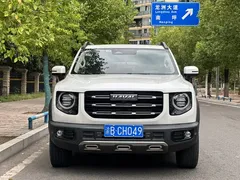 2022 Haval Dargo 2.0T DCT 4WD, белый — фото 8