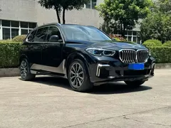 2022 BMW X5 30Li M, чёрный — фото 3