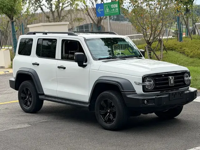 2021 Tank 300 2.0T