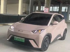 2024 BYD Seagull EV 305km Honor Freedom — фото 1