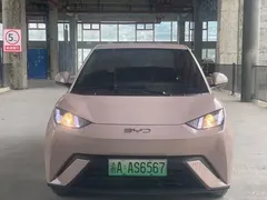 2024 BYD Seagull EV 305km Honor Freedom — фото 2