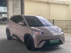 2024 BYD Seagull EV 305km Honor Freedom — фото 3