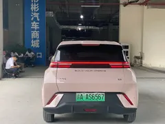 2024 BYD Seagull EV 305km Honor Freedom — фото 9