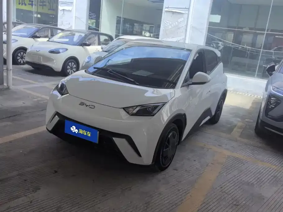 2025 BYD Seagull 305km Vitality