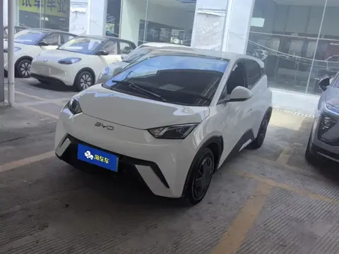 2025 BYD Seagull 305km Vitality