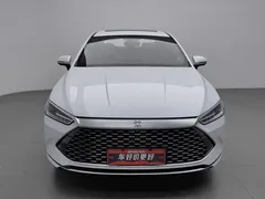 2023 BYD Qin PLUS 120KM, белый — фото 3