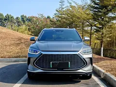 2021 BYD PLUS DM-i 110KM PLUS — фото 2