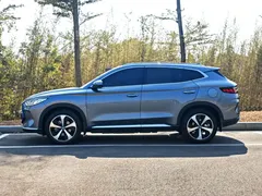 2021 BYD PLUS DM-i 110KM PLUS — фото 7