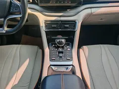 2021 BYD PLUS DM-i 110KM PLUS — фото 13