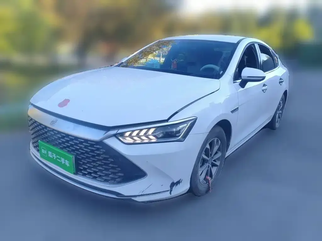 2024 BYD Qin PLUS 55KM