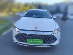 2024 BYD Qin PLUS 55KM, белый — фото 2