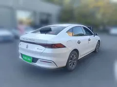 2024 BYD Qin PLUS 55KM, белый — фото 4