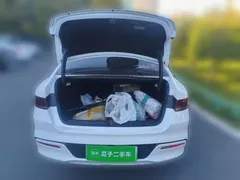 2024 BYD Qin PLUS 55KM, белый — фото 15