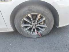 2024 BYD Qin PLUS 55KM, белый — фото 25