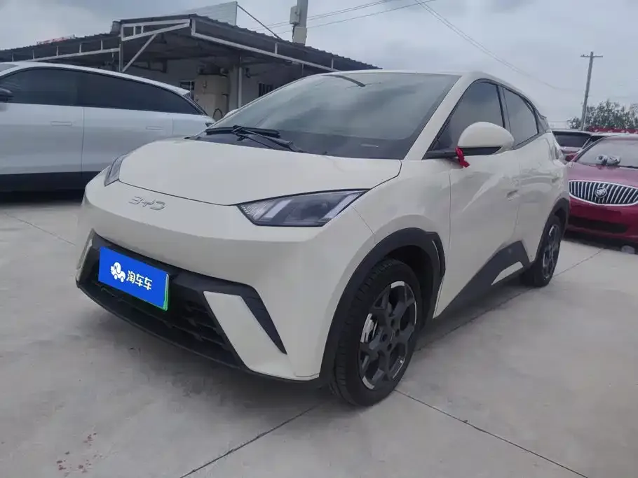2024 BYD Seagull EV Glory 405km Flying
