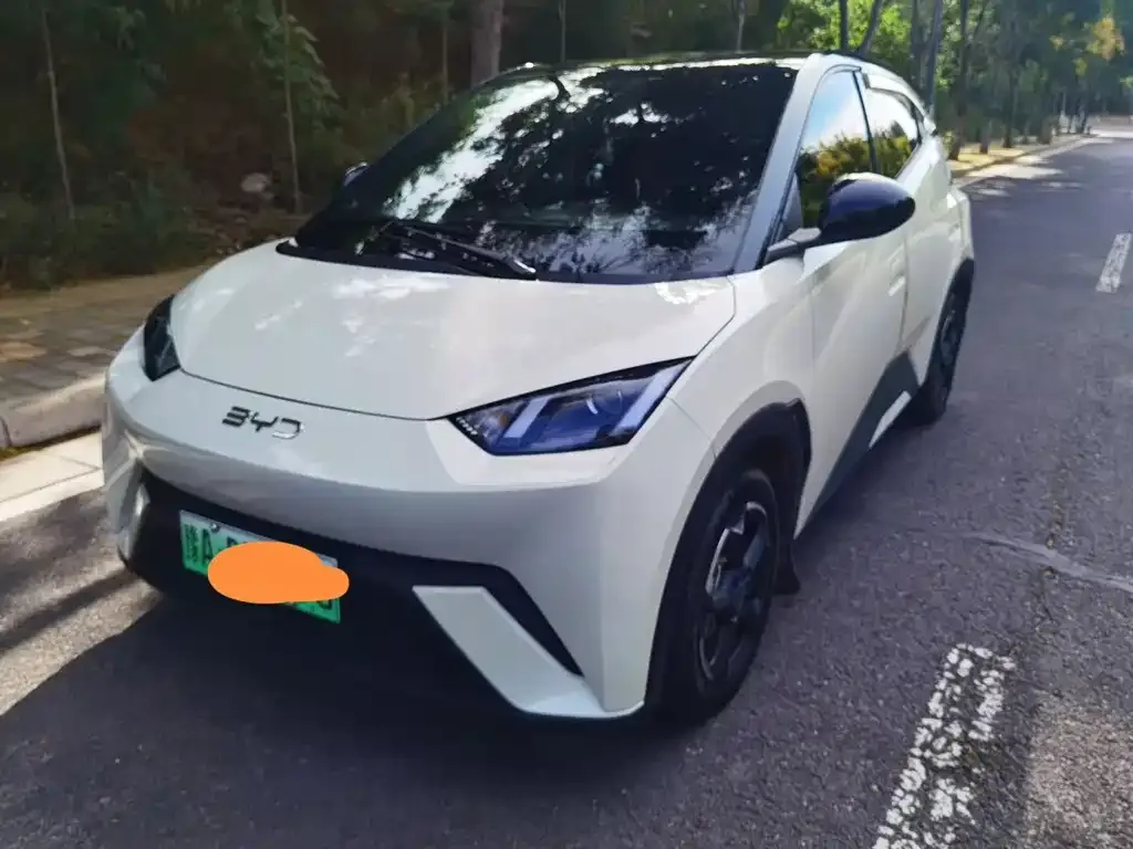 2025 BYD Seagull 305km