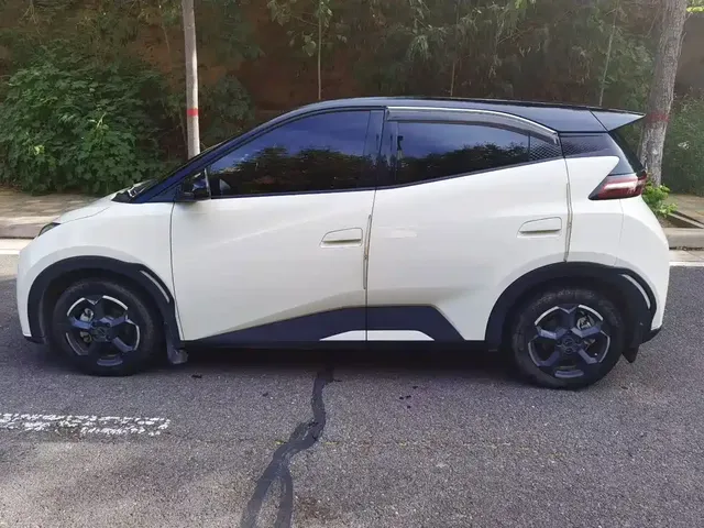 2025 BYD Seagull 305km