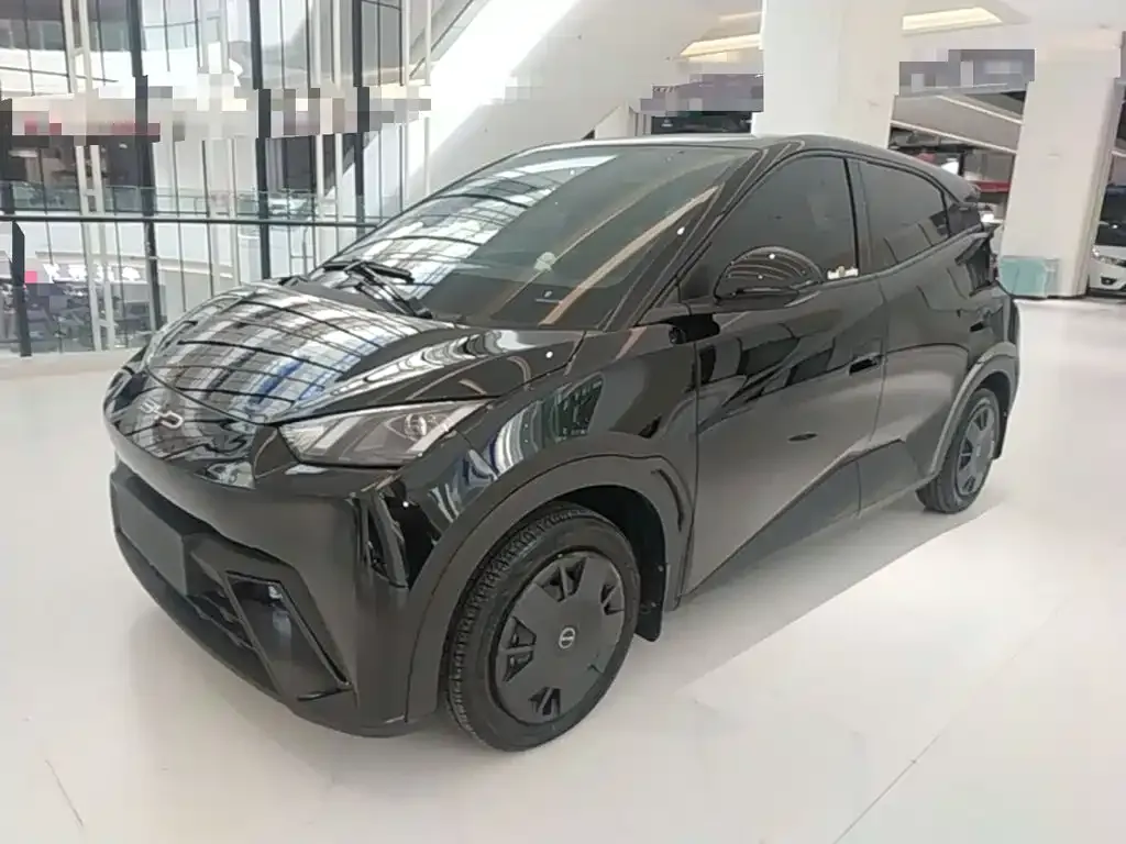 2023 BYD Seagull Vitality