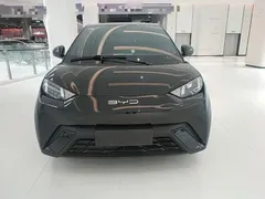 2023 BYD Seagull Vitality, чёрный — фото 3