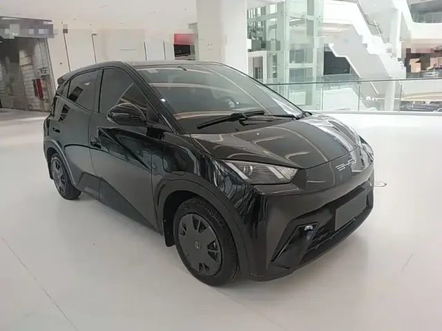 2023 BYD Seagull Vitality