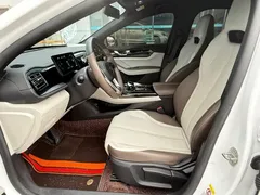 2023 BYD Qin PLUS 55KM, белый — фото 18