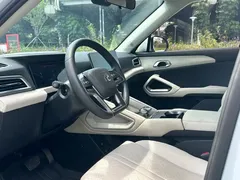 2024 BYD Yuan UP 401km Leading — фото 10