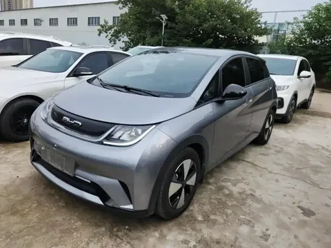 2023 BYD Dolphin 420km Freedom