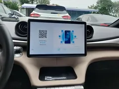 2023 BYD Dolphin 420km Freedom — фото 13