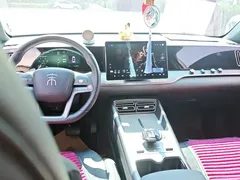 2025 BYD Song Pro 75KM, белый — фото 12