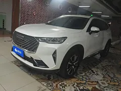 2021 Haval H6 1.5T AT 2WD Max, белый — фото 1