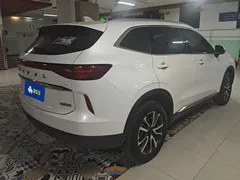 2021 Haval H6 1.5T AT 2WD Max, белый — фото 3
