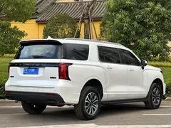 2023 Haval H5 2.0T AT 4WD Gasoline, белый — фото 8