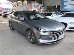2024 BYD Destroyer 05 DM-i PHEV 55km Luxury — фото 4