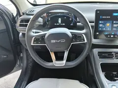 2024 BYD Destroyer 05 DM-i PHEV 55km Luxury — фото 11