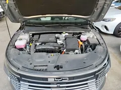 2024 BYD Destroyer 05 DM-i PHEV 55km Luxury — фото 20