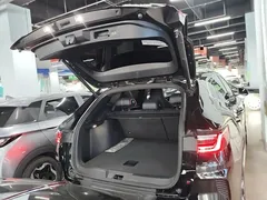 2021 BYD Song PLUS EV Flagship, чёрный — фото 15