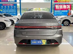 2024 BYD Destroyer 05 DM-i 55KM — фото 11