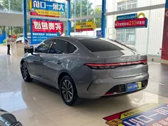 2024 BYD Destroyer 05 DM-i 55KM — фото 12