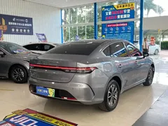 2024 BYD Destroyer 05 DM-i 55KM — фото 13